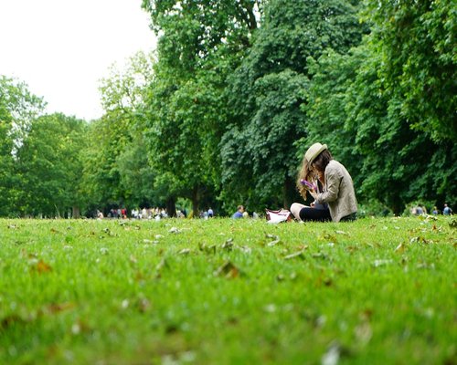Woman reading a book in a park surrounded by nature